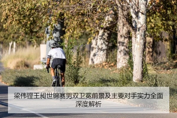 梁伟铿王昶世锦赛男双卫冕前景及主要对手实力全面深度解析