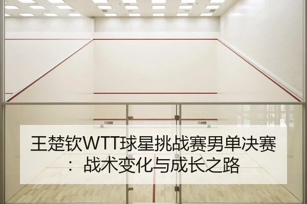 wang-chu-qin-qiu-xing-tiao-zhan-sai-nan-dan-jue-sai-zhan-shu-bian-hua-yu-cheng-zhang-zhi-lu-2-788.jpg